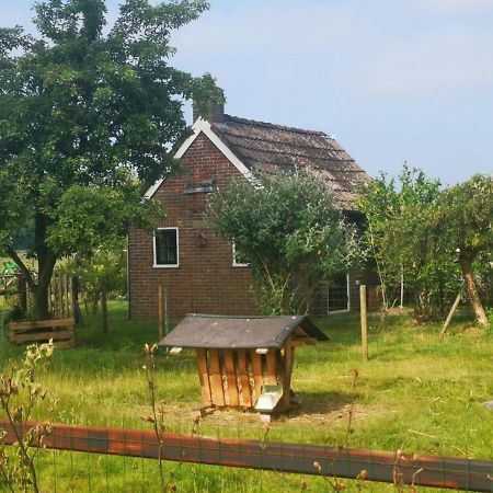 Trekkershut - Tiny House - Hikers Cottage Wijster Exteriör bild