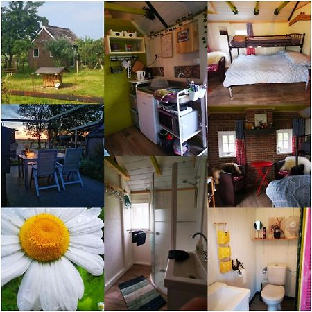Trekkershut - Tiny House - Hikers Cottage Wijster Exteriör bild