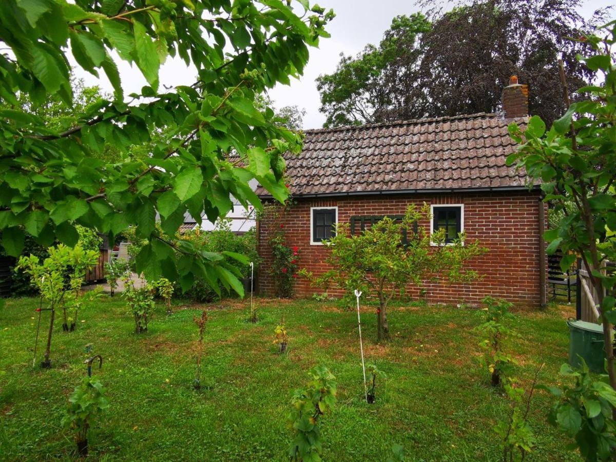 Trekkershut - Tiny House - Hikers Cottage Wijster Exteriör bild