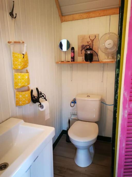 Trekkershut - Tiny House - Hikers Cottage Wijster Exteriör bild